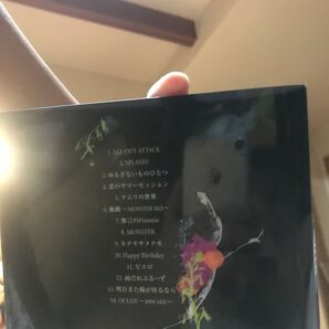 CD