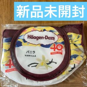 新品未使用 ハーゲンダッツ 40周年記念 保冷バッグ