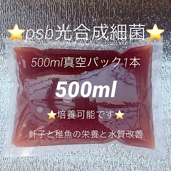 ★psb光合成細菌500ml濃縮★
