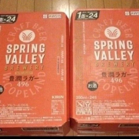 キリン スプリングバレー 豊潤ラガー 350ml 48本 2ケース 生ビール