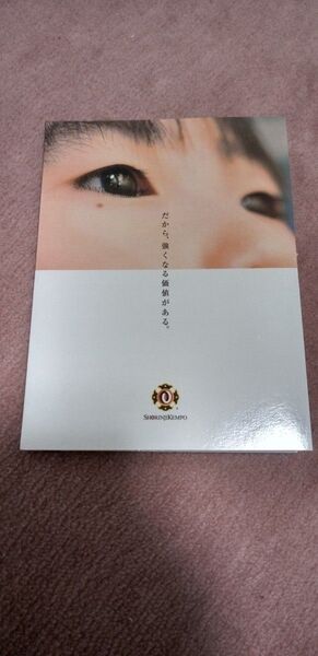 少林寺拳法 パンフレット SHORINJI KEMPO 1冊
