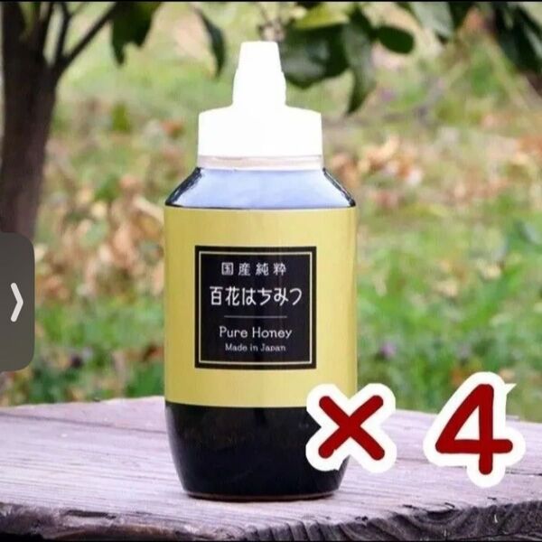 はちみつの恵 国産純粋 百花はちみつ 1000g×4本 ポリ容器 新品 非加熱 日本製 国産はちみつ ハチミツ ハニー