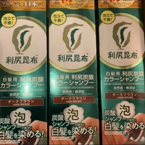 【火水限定価格】利尻昆布白髪用利尻炭酸カラーシャンプー(ダークブラウン)3本