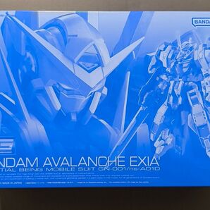 RG 1/144 ガンダムアヴァランチエクシアダッシュ