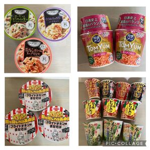 よこすか海軍カレーラーメン、トムヤムライス、ドリアメシ、本わさび塩ラーメン、フライドチキン味まぜそば、スープDeli 計18個