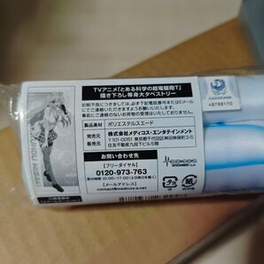 とある科学の超電磁砲T 食蜂操祈 描き下ろし等身大タペストリー
