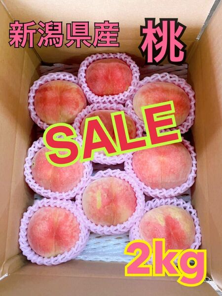 【限界値引き!大特価】新潟県産桃2kg 朝採り 農家直送
