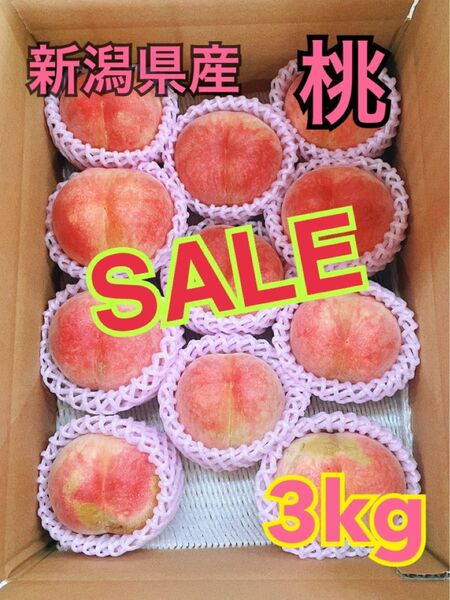 【限界値引き!大特価】新潟県産桃3kg 朝採り 農家直送