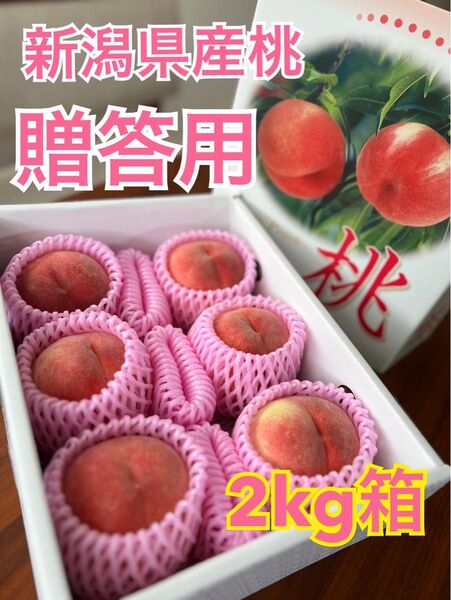 【リピーター続出!】新潟県産桃 贈答用2kg 朝採り 農家直送