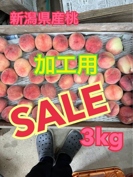 【限界値引き!大特価】新潟県産桃加工用3kg
