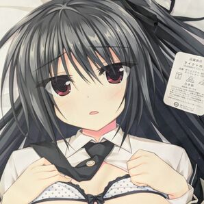 【正規品・美品】C91 緋のない所に烟は立たない 高賀津希 抱き枕カバー おりょう先生