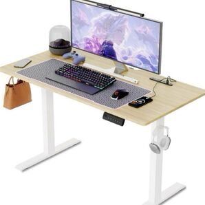 電動 昇降式デスク パソコンデスク 120cm×60cm 高さ72〜117cm USB コンセント ゲーミングデスク 静音