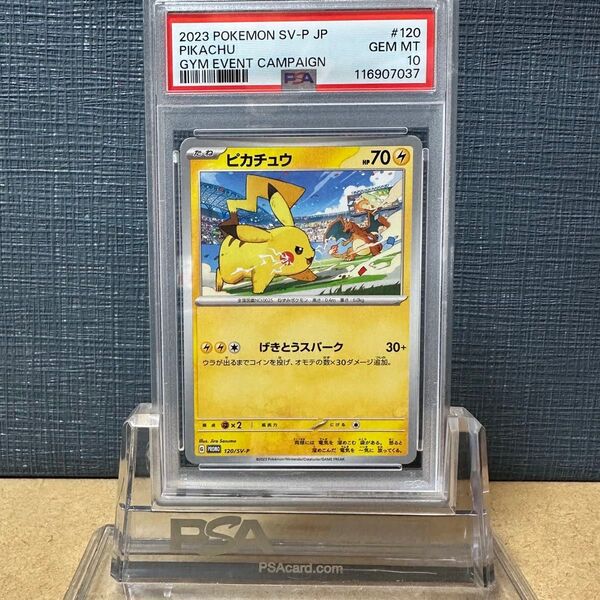 PSA10 ピカチュウ プロモ ジムバトル 2023 120/SV-P 鑑定品 ポケモンカード PIKACHU