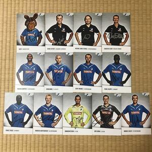 ホッフェンハイム 2010/11 直筆サイン入りクラブカード 13枚セット！ バベル ブンデスリーガ