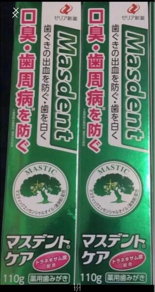 2箱 大容量 新品 ゼリア新薬 マスデントケア 110g 薬用歯磨き粉 歯磨き粉