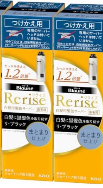 新品 花王 Rerise リライズ 白髪用 白髪染めサーバーヘッド つけかえ用 サーバー ブラック 黒 ヘアカラー まとまり仕上げ