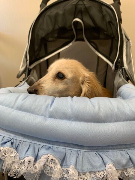 ペット 3点セット枕 あごのせクッション カートクッション 顎乗せクッション 犬 猫 ペットクッション バギークッション