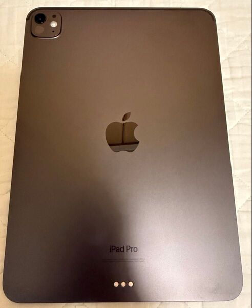 【本体のみ】Apple iPad Pro 11インチ M4 256GB Wi-Fiモデル スペースブラック