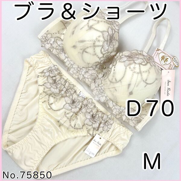 ブラジャーショーツセットD70 No.75850