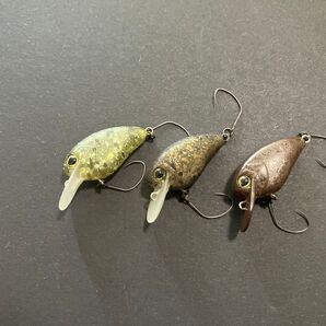 ティモン フラパニ 3個セット
