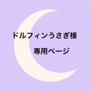 ドルフィンうさぎ様専用ページ 鈴丸ビーズ【ケースごと&+α】パーツクラブモールド4点(アゲートなど) 2点(ラフカット)