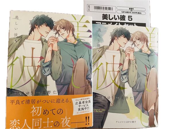 美しい彼 5 アニメイト小冊子 凪良ゆう