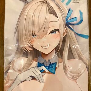 【未開封】O.N Art Works 一ノ瀬アスナ 抱き枕カバー ブルーアーカイブ oni-noboru