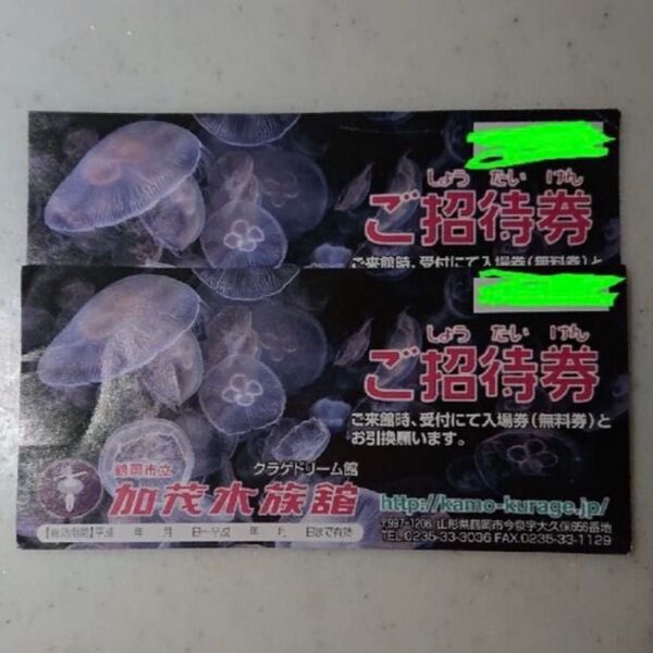 加茂水族館 招待券