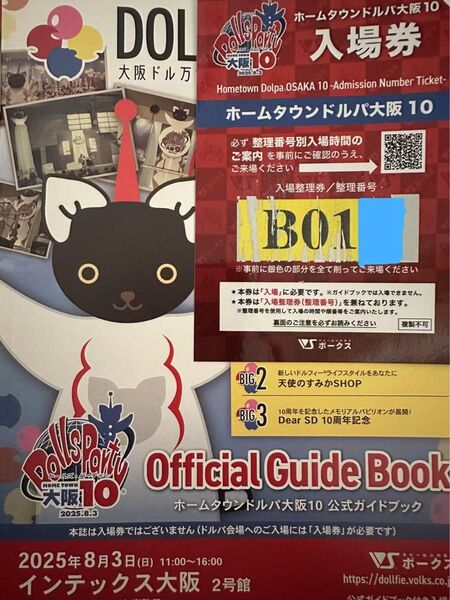 ボークスホームタウンドルパ大阪10 公式ガイドブック付き入場券 Bグループ 抜き取りなし 入場券 ボークス ドルパ