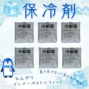 【送料無料】 保冷剤 冷却パック 冷却ベスト用 アイスベスト用 アイスパック 保冷剤 6個セット 冷却アイス 日本製 熱中症対策