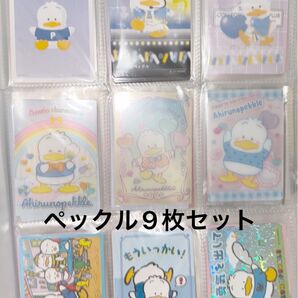 サンリオ ペックルカード 9枚セット .*゚