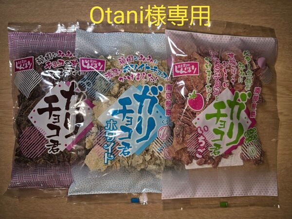 しんぼり 南部煎餅 ガリチョコ君 チョコ ホワイト いちご 3袋セット