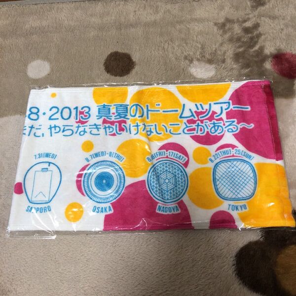 【AKB48】2013年真夏のドームツアー マフラータオル グッズ タオル 新品未使用 未開封