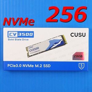 【SSD 256GB】CUSU CV3500 M.2 NVMe PCIe3.0 x4