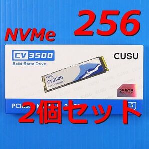【SSD 256GB】CUSU CV3500 M.2 NVMe PCIe3.0 x4