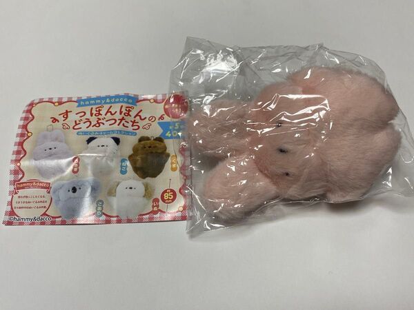 すっぽんぽんのどうぶつたち うさぎ ぬいぐるみチャームコレクション はみーあんどだっこ ガチャ カプセルトイ