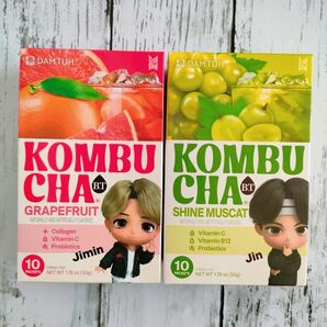 ダムト コンブチャ マスカット グレープフルーツ 2種セット 20本 BTS タイニータン