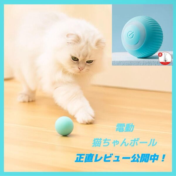 猫 おもちゃ USB 電動 肥満防止 運動不足 ストレス解消 室内遊び 自動