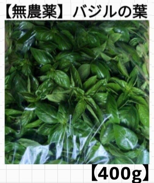 【400g】バジルの葉/無農薬/スイートバジル