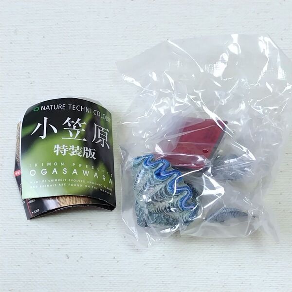 ネイチャーテクニカラー 小笠原 特装版 ユウゼン