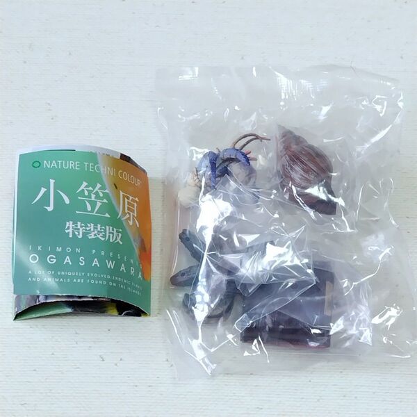 ネイチャーテクニカラー 小笠原 特装版 ムラサキオカヤドカリ