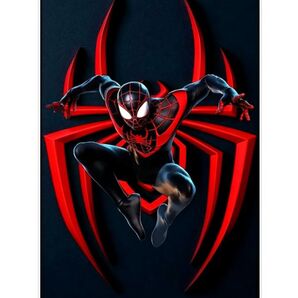 フラッグ T28 スパイダーマンポスター ガレージ装飾 バナー タペストリー