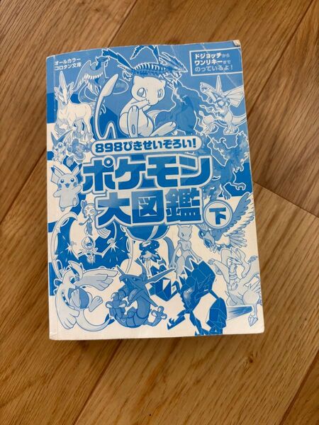 ポケモン大図鑑下