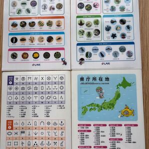 しちだ 知育クリアファイル 4枚セット