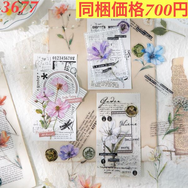 多種類レトロ植物英字シーリングPETシール 6種240枚 浪漫運作シリーズ