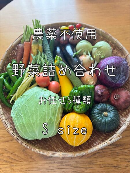 S size 農薬不使用 野菜セット 野菜詰め合わせ