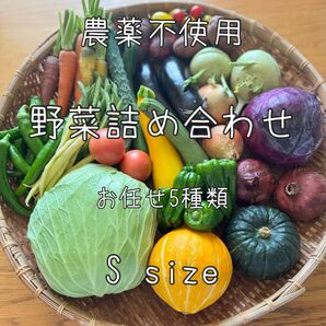 S size 農薬不使用 野菜セット 野菜詰め合わせ