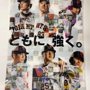 読売ジャイアンツ GIANTS PRIDE 2021 クリアファイル