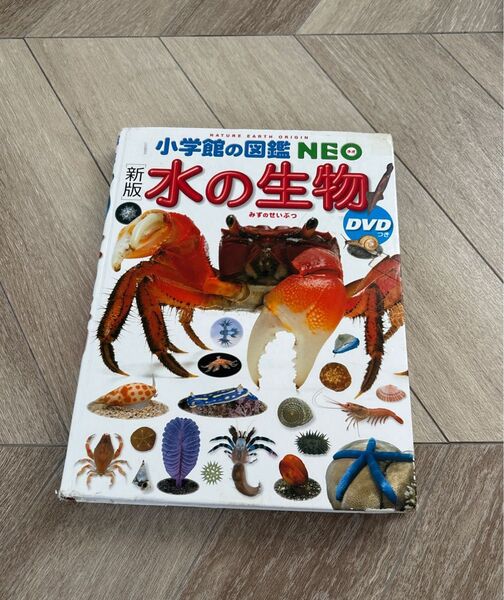 小学館の図鑑NEO 水の生物 DVD付き