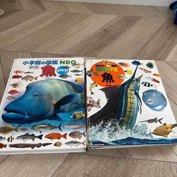 小学館の図鑑NEO 魚 新版 DVD付き講談社の動く図鑑MOVE 魚 新訂版 DVD付き2冊セット